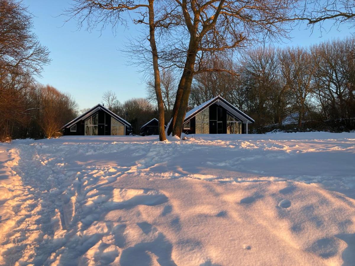 Ferienhaeuser Boddenstrand Wiek auf Rügen Exterior foto